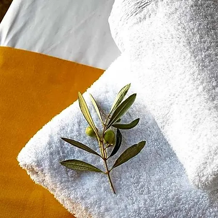 Paraliako Kyparissi Hotel 3*