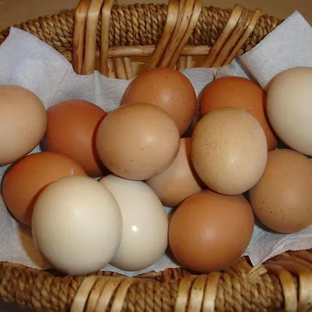 Paraliako Kyparissi Hotel Kyparíssion